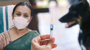 Let's protect our loved ones: Beware of rabies