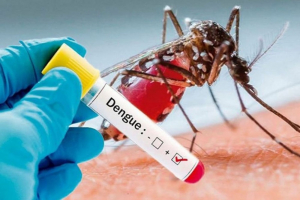 Let&#039;s join hands to prevent dengue: May 16 is National Dengue Day