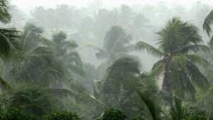 Heavy rains in Kerala