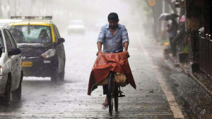 Special yajna for pre-monsoon cleaning