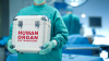 Organ transplantation: Two doctors suspended
