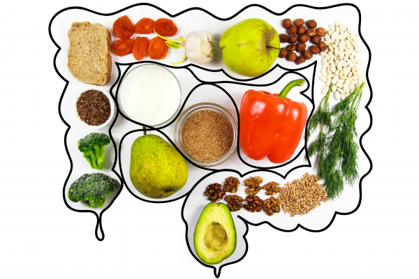 Foods to eat for digestion and intestinal health