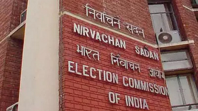 Central Election Commission announces Vice Presidential elections