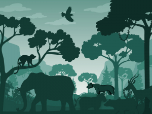 വന്യജീവി ആക്രമണം; നഷ്ടപരിഹാരത്തിനും പ്രതിരോധത്തിനുമായി 50 കോടി രൂപ അധികമായി അനുവദിച്ചു