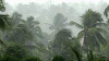Low pressure in Bay of Bengal, likely to become cyclonic