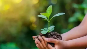 പരിസ്ഥിതി ദിനാചരണത്തോടനുബന്ധിച്ച് സംസ്ഥാനത്ത് 1000 പച്ചത്തുരുത്തുകൾക്ക് കൂടി തുടക്കം