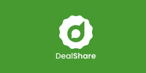 Dealshire raises $ 165 million in new investment