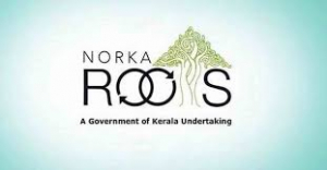 Rehabilitation of expatriates returning to the country, NORCA financial assistance to cooperatives