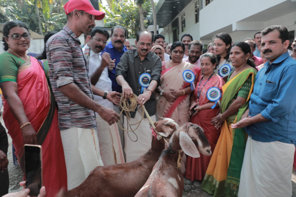 &#039;Model Animal Protection Panchayat&#039; project started in the district