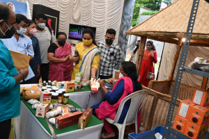 Forest Department stall with jungle and curiosities