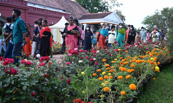 Nagara Vasanth photography and spring festival; Pushpa Mela to 10th day