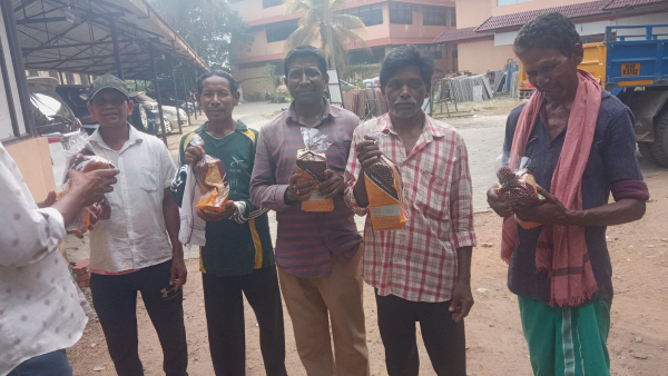 Groupo Bimbo distributed 5 lakh bread pieces