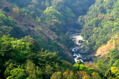 ബഫർ സോൺ; പരിസ്ഥിതിലോല മേഖലയിൽ നിന്ന് ജനവാസ കേന്ദ്രങ്ങളെ ഒഴിവാക്കും