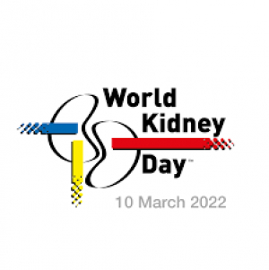 Kidney screening for lifestyle patients: Minister Veena George  March 10 is World Kidney Day