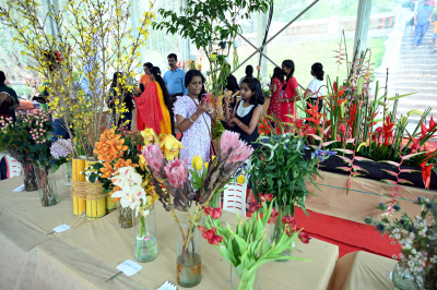 Haritha Kerala Mission&#039;s Haritha Grama has been set up during Urban Spring
