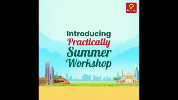 Practically with Summer Online Workshop