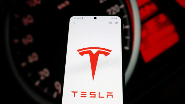 Tesla&#039;s Carmakers app crashes