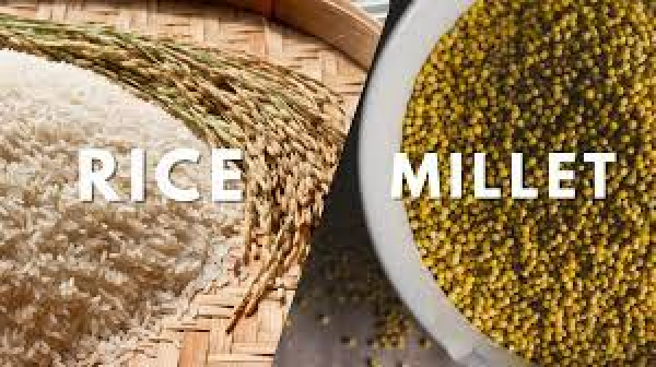 Malayalis don&#039;t want to eat rice, wheat and millet instead, a big change in eating habits!