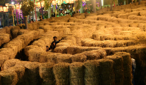 The hay maze in Kanakakunnu goes viral: If you climb one, you&#039;re in for a treat
