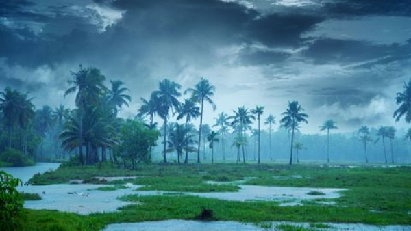Extremely heavy rain: Red alert in 11 districts