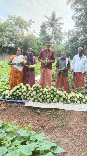 Pallichal panchayat with hundreds of success in organic farming